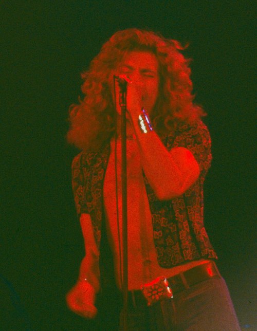 jefferson-mad-hippie:Robert Plant, 1977. (Photos by Barry Goldstein)