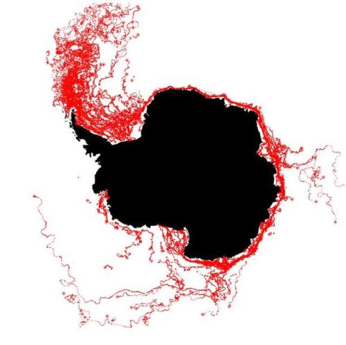 Antarctic Iceberg Migration PathsOne of the largest icebergs in recorded history is either about to 