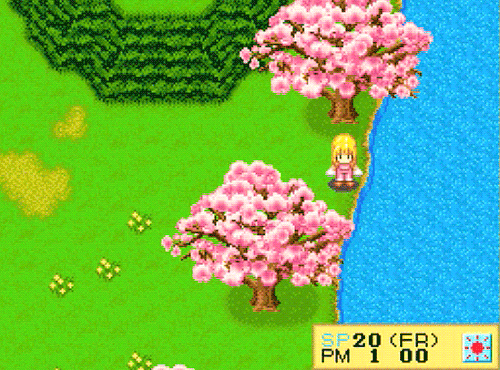 chaocola:Near Turtle Pond・Harvest Moon DS: Cute (2008)