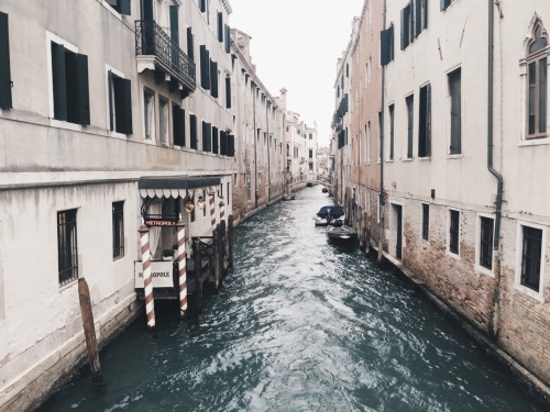 timbllr:venice was amazing