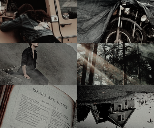 ibuzoo:100 Books↳ #97 - TwilightAbout three things I was certain.First, Edward was a vampire.Second,
