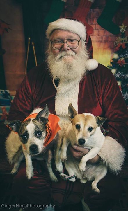 Bring your furry friends and family members to PetSmart to see Santa Paws this weekend! Photos are j