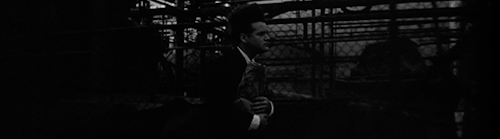 taraantino:    Cinematography Appreciation       Eraserhead (1977)   Director: David Lynch       Cinematography by: Herbert Cardwell, Frederick Elmes .    Aspect Ratio: 1.37 : 1    