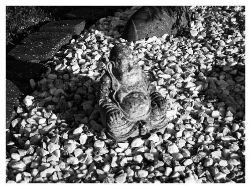Buddha sunbathing Digilux 2