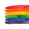 aspectrumofidentity:  Nonbinary people who are attracted to women? ValidNonbinary people who are attracted to  men? ValidNonbinary people who are attracted to  other nonbinary people? Valid.Nonbinary people who are attracted to two or more genders?
