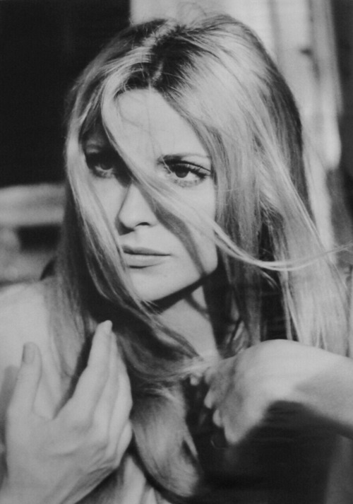 lily-laurent: Sharon Tate photographed by Sean Barry Weske in London ,1969during filming of &ld
