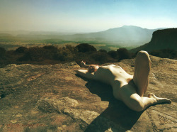 philipwernerfoto:  Buy this image here in various formats:http://www.redbubble.com/people/philipwerner/works/12020418-doe-at-fort-rock Doe by Philip Werner  On Fort Rock overlooking the Megalong Valley. Blue Mountains, Australia. May 2013  