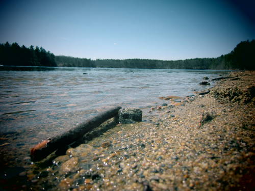 serenity. || Walden Pond, Concord, MA