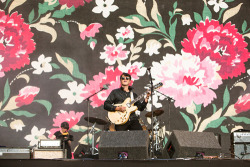 Teamvampireweekend:  Vampire Weekend At Reading Festival 2014 (Photos By Alex De