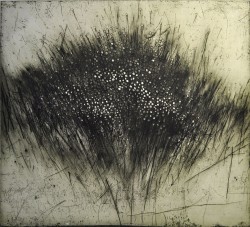 iamjapanese:  Ludmila Armata（Canadian, b.1954） Stratocumulus    2013 Neurotextus  1998 Hommage to Gustav Horst  2004 Exodus  2008 Novenus  2008 etching, drypoint and aquatint Serie Migration   2008   mixed media on mylar Uvertura   2008