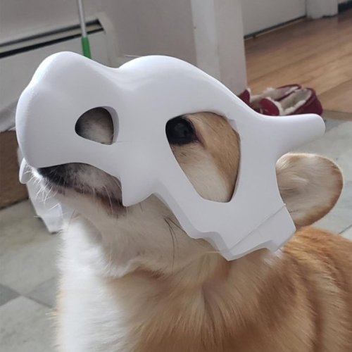 retrogamingblog:  Cubone Corgi Cosplay