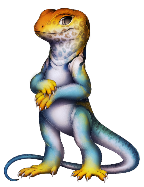 furvilla:  Reptiles! Albino Ball Python, Corn Snake, Ball Python, Milksnake, King Cobra, Arizona Whiptail, Collared Lizard, Bearded Dragon 