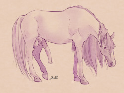 svadilsartbook:  Feral Horse Water Color