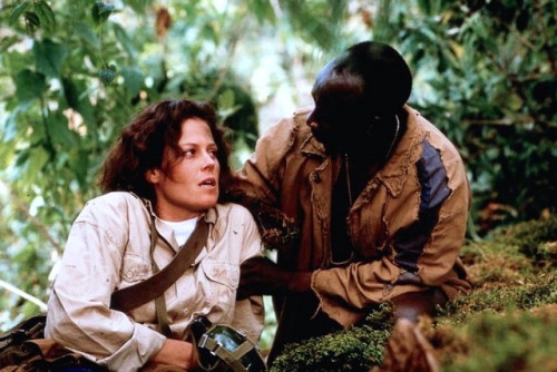 Eccentric primatologist and conservationist Dian Fossey (Sigourney Weaver) finds her calling among t