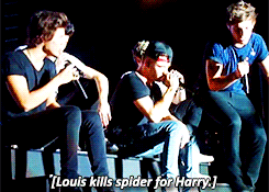 quitespecial:  louis told us to fuck off hahaha 