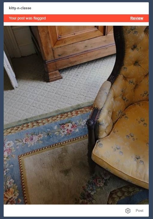 kitty-n-classe: I got dozillion red flags, both on published photos and on drafts.