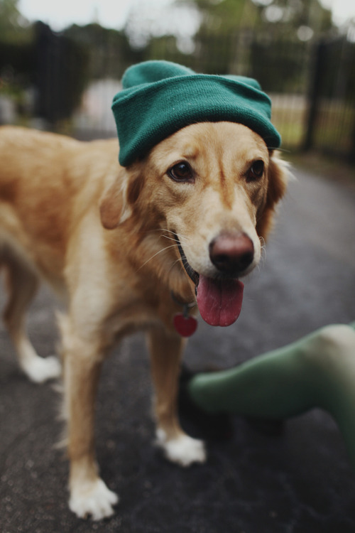 just-believe-in-your-dreams-xx:  ♥ 