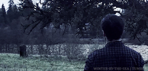 winter-by-the-sea:Love is a ghost you can’t control…Killian Jones has lost the love of his life, but she’s no more able to let go than he is…more manips | fan art | print gallery on society6 | redbubblePlease don’t crop/edit/tweet and please