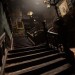 thestrawberrynight:living in the old small town, wandering around with my dogs, having