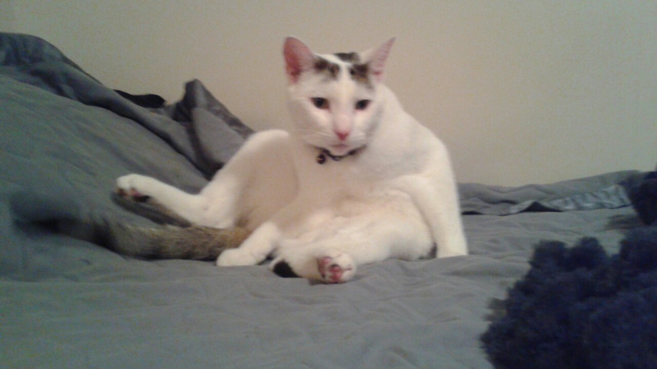 homofuck:this is buster in his natural state.