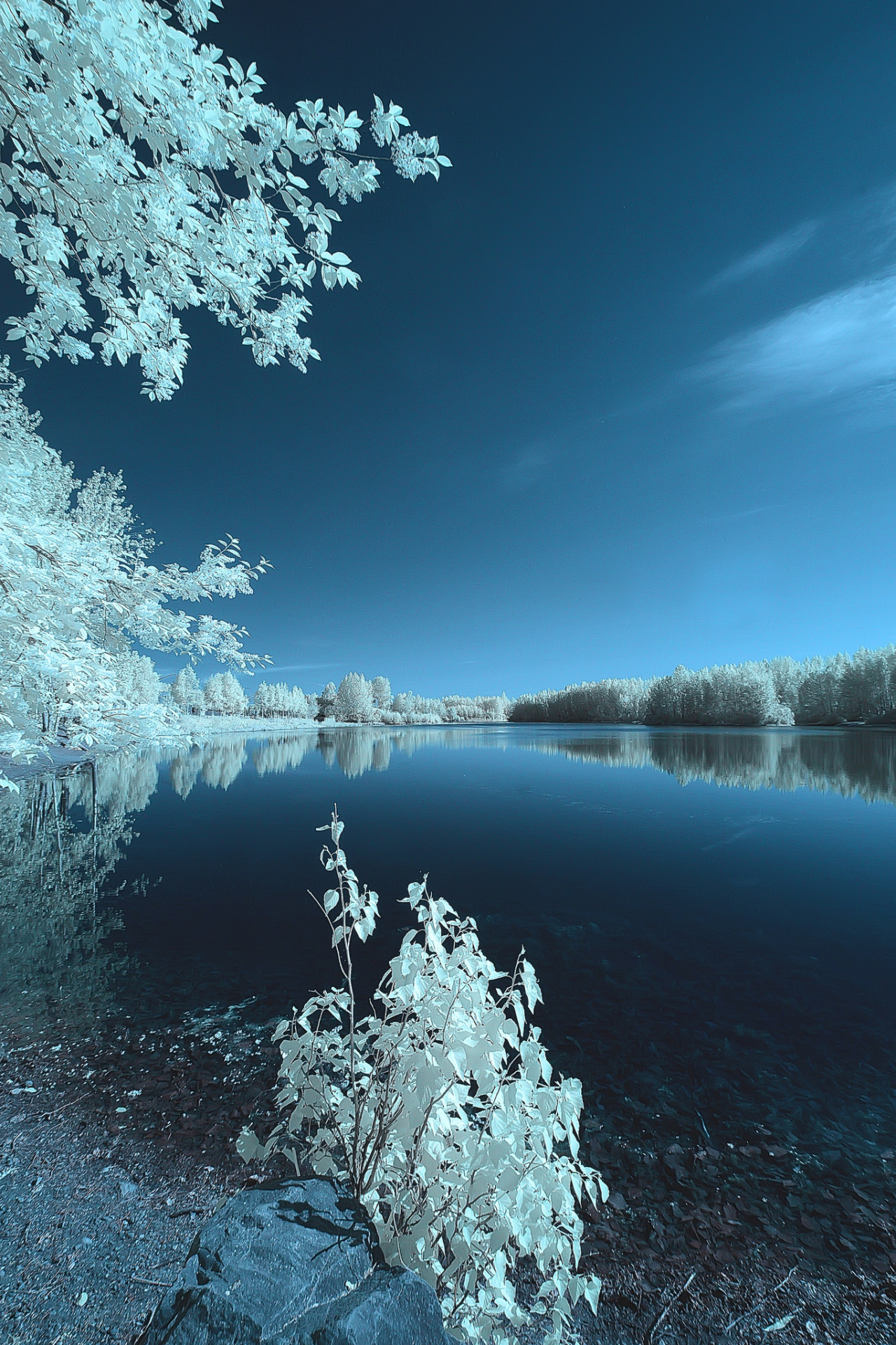 Cheney Lake by Doug Brown Via Flickr: - Magical Nature Tour