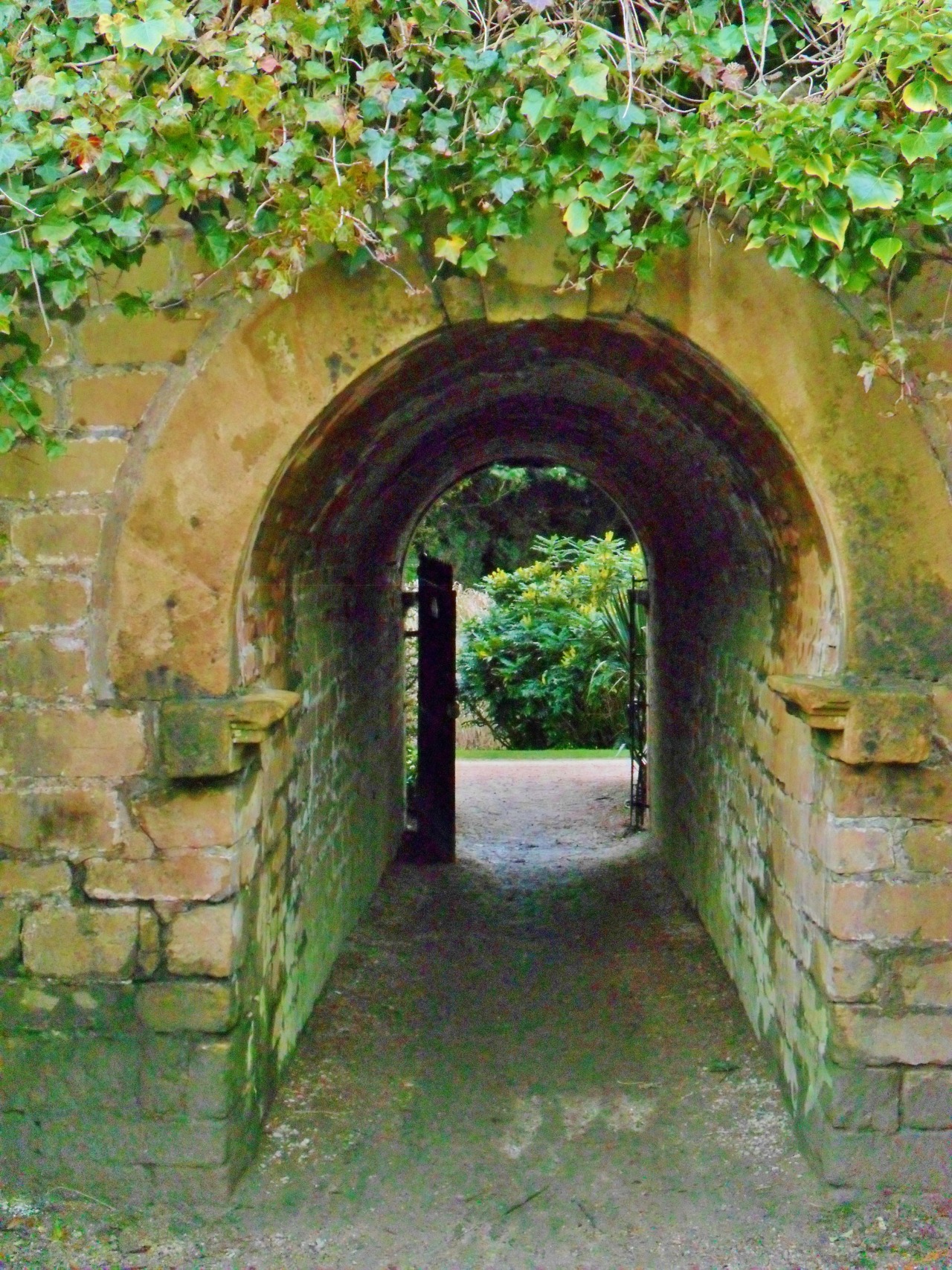 vwcampervan-aldridge:  Ivy covered tunnel to walled secret garden, Newstead Abbey,