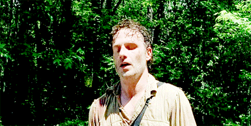 The Walking Dead Guide