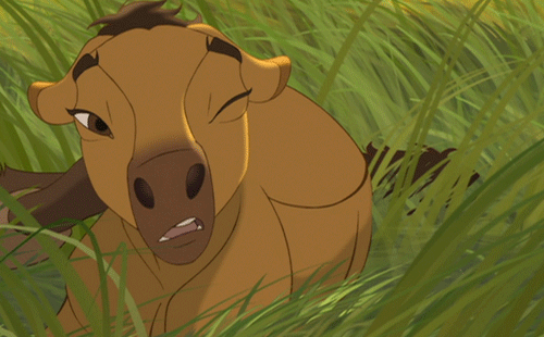 naruhina-headcanon:  marvel-pin-up-girl:  Rewatched “Sprit: Stallion of the Cimarron” for the hundredth time and, like, why don’t people talk about this movie more??? Like it came out only a year after Shrek and that movie has a shit ton of sequels