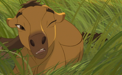 marvel-pin-up-girl:  Rewatched “Sprit: Stallion of the Cimarron” for the hundredth