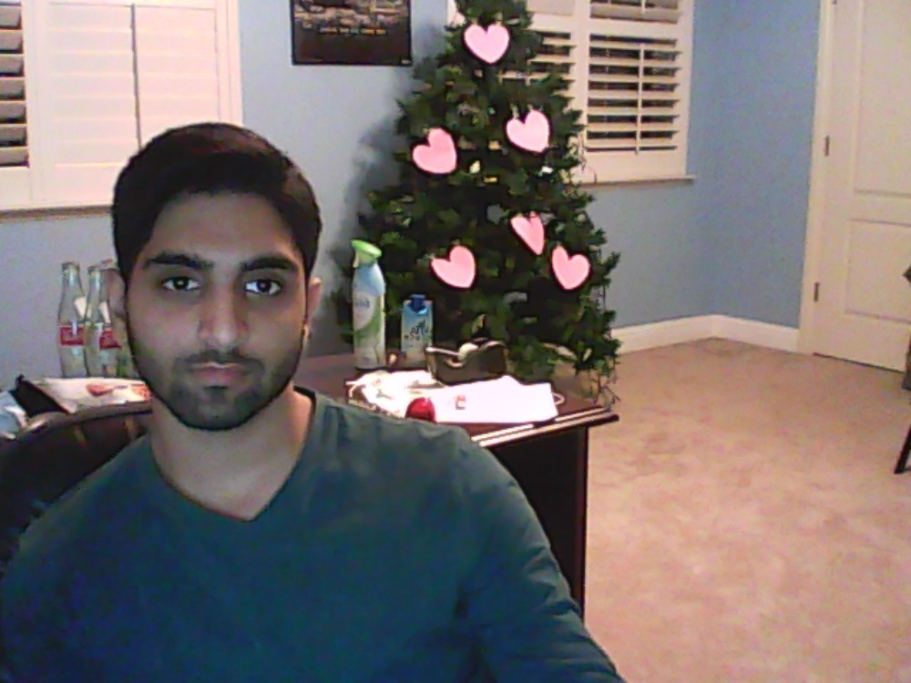 grumpysalmon:  bewbin:  how to acceptably keep up a tree in February   How come