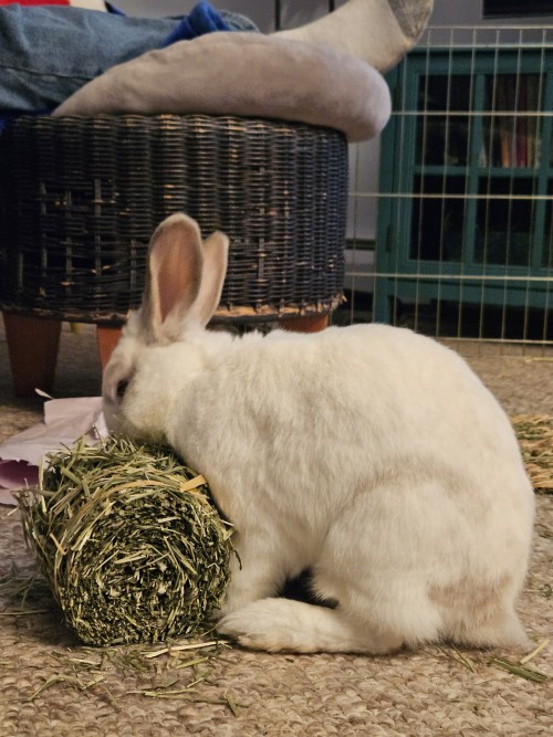 This Year's Holiday Gifts Arrived Unwrapped!