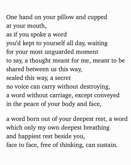 the voice of the one you love. jeffrey mcdaniels, “The Quiet World” / li-young