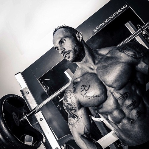 bodybodyman:  Anthony Oosterlaag   adult photos