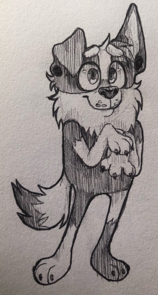 Various Things And Specimens From My Sketchbook