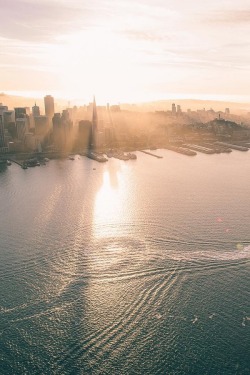 alecsgrg:  San Francisco, California | ( by Nicholas La )  