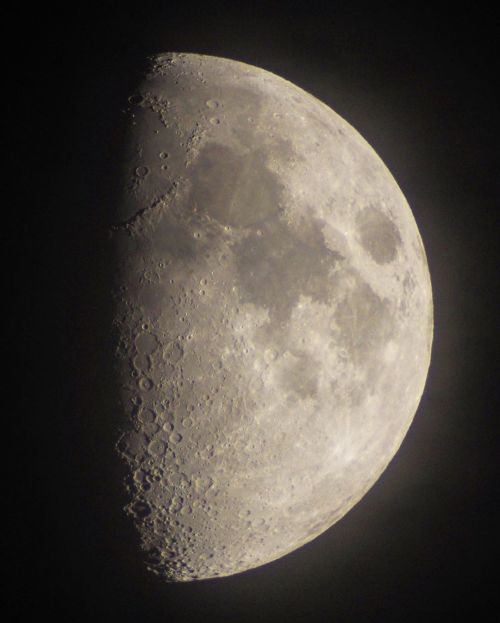 月齢7.8 昨日が半月 久々にスッキリではありませんが 雲の隙間からなんとか撮影できました！ #月 #半月過ぎ #moon #halfmoon #梅雨明け #天体観測 #天体望遠鏡 #のむっち天文台 