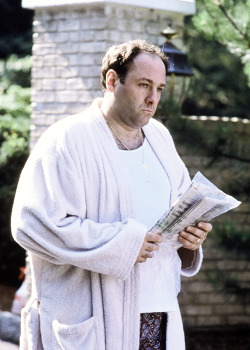 nightlyallaround:  tony soprano 