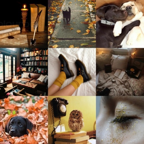 theprettyandthemacabre: I had my very first aesthetic/moodboard request ever! @waggly-doofus asked f