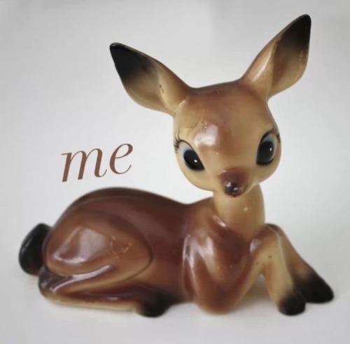 Its My First Day Of College, Im Just A Doe Why Should I Have To Go .( ). (Im Nervous As Hell)