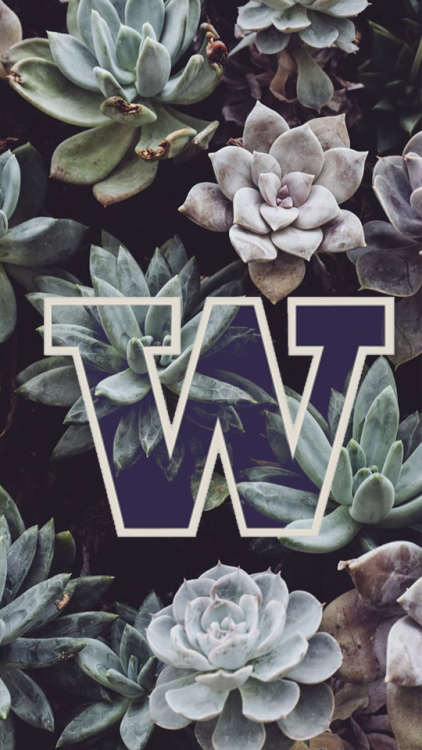 University of Washington & University of Pittsburgh /for @boringblogger21-blog/