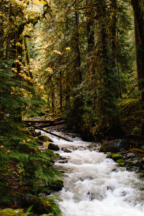 Exploring by Cushman!