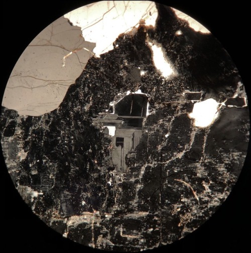 This rock is predominantly composed of quartz, alkali feldspar, and plagioclase. The alkali feldspar