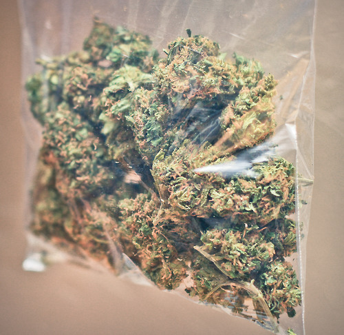 http://blowmelikekushhh.tumblr.com/post/126406556409