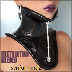  Sometimes Restriction Is Needed, Especially For Bad Girls! Put Them In These Two