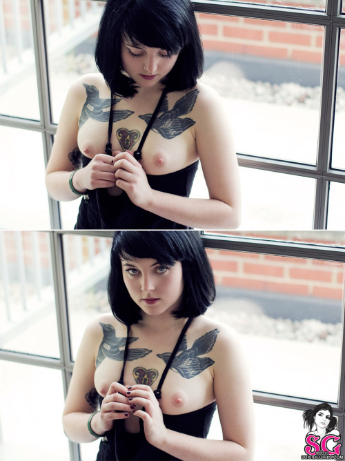 mrandmrseventwofive:  Jive  -From Mr.