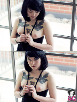 sglovexxx:  Jive Suicide