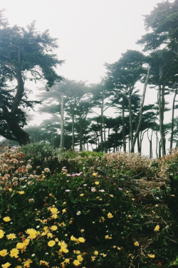 expressions-of-nature:  Land’s End by Sarah