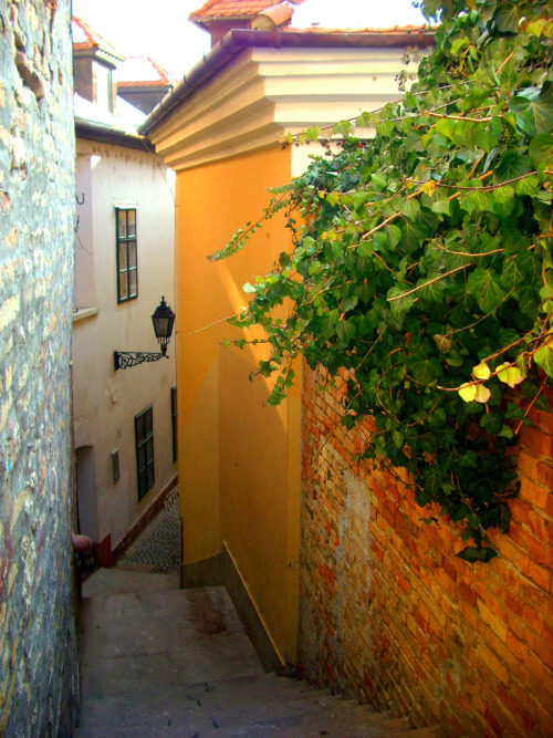 allthingseurope:  Gyor, Hungary (by gambit03) 