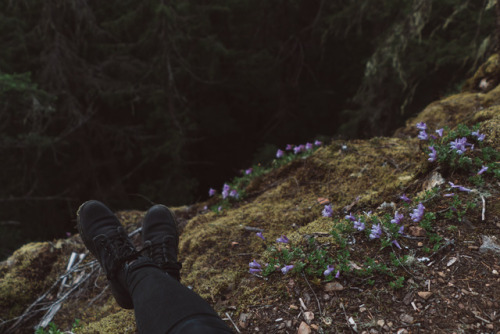 “I got lost astrayIn this forest runnin&rsquo; away” -Sampha  Instagram // YouT