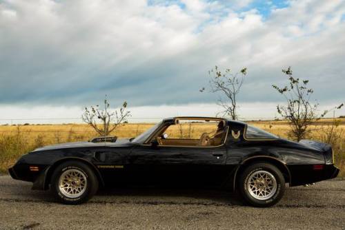 bigboppa01:1979 Pontiac Firebird Trans Am, 455 big block  The Bandit 👍